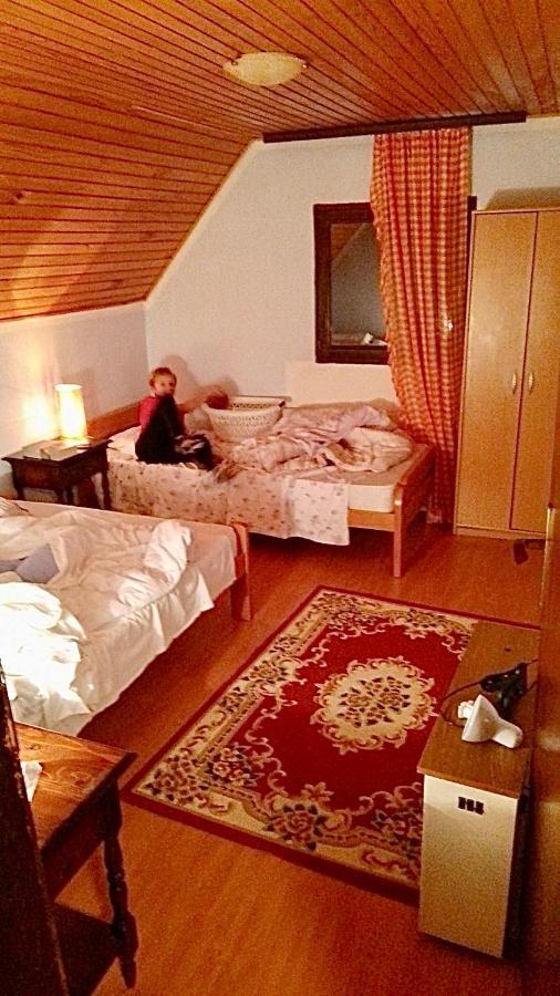 Petra Villa Копаоник Екстериор снимка